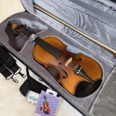 Hallstatt EV-30/NBR エレクトリックヴァイオリン一式 ケース付 - メルカリ