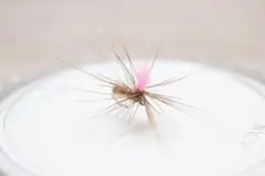 Item thumbnail for item b7575a68-ff4d-4ae9-bf5f-ec7b2d6e159a