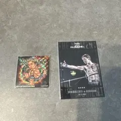 ☆新品☆朝倉未来 Abema シール ライコレ RIZIN 師走の超強者祭りのサムネイル
