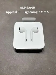 新品未使用 Apple アップル 純正 Lightning 有線イヤホン