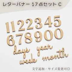 Item thumbnail for item 9c76a0a3-8818-4162-994e-89fad43e4e42