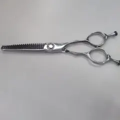 2026年最新】ミズタニシザー エレメントの人気アイテム - メルカリ