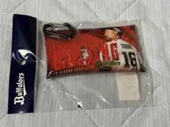 オリックスバファローズ 平野佳寿 引退記念 マルチケース