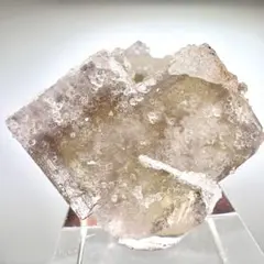 2026年最新】sherry twinsの人気アイテム - メルカリ