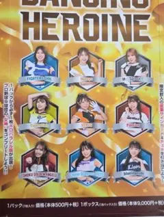 2025BBMチア カードTigersGirls阪神　全21枚コンプリート