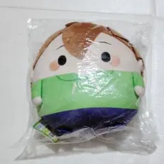 YouTuber ぽこにゃん ふわコロりん Msize