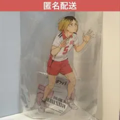 ハイキュー 孤爪研磨 ビックアクリルスタンド ビックアクスタ