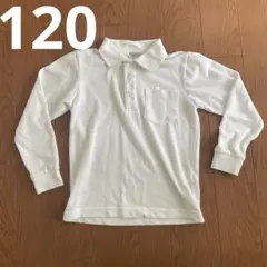 ポロシャツ　長袖　120