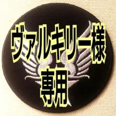 ヴァルキリー様専用☆USAAFとUS AIR FORCEのワッペン 2枚セット