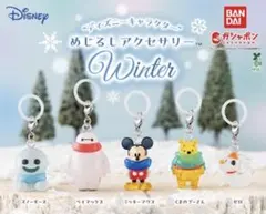 バラ売り可能　めじるしアクセサリー　ディズニー winter 全5種　未開封