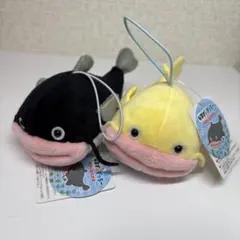 なまずのずっちー ゆかいななかま VMC 【全4種類コンプリートセット