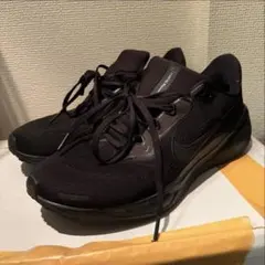 Nike Air Zoom Pegasus 41 black