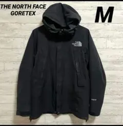 THE NORTH FACE マウンテンジャケット GORETEX 黒　M