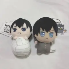 影山飛雄 ハイキュー ぬいぐるみ