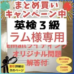 ラム様 リクエスト 3点 まとめ商品（解説日本語訳付き）