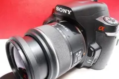 ★軽やか一眼入門★SONY α230 レンズキット★オマケ付き★ ☆軽やか一眼入門☆SONY α230 レンズキット☆オマケ付き☆ - メルカリ