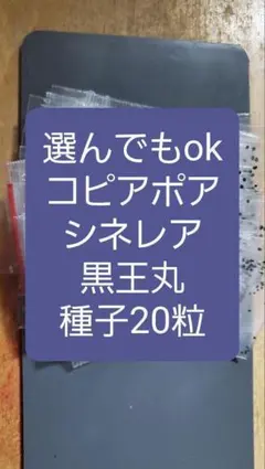 ふも様 リクエスト 3点 まとめ商品