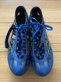 25.0cm MIZUNO エックスブラスト エリート3陸上スパイク - メルカリ