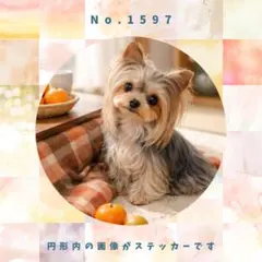 Item thumbnail for item 84052578-eee0-4ddb-8b5d-aef8ec26f833