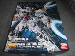 2026年最新】MG ストライクフリーダム 大河原邦男の人気アイテム