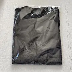 新品未使用】HANA ツアーライブ Tシャツ Lサイズ GYグレー - メルカリ