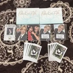 &team BacktoLifeトレカ　アルバム　k 1