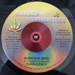 Turbulence - BURN BAD MIND / MARRIGOLD