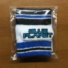 BP リストバンド