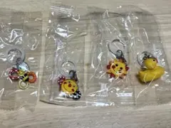 sassy　めじるしアクセサリー 4点セット