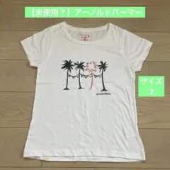 【美品】アーノルドパーマー★Tシャツ　2 Mのサムネイル