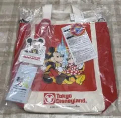 新品タグ付 ディズニーリゾート ブランケット クリスマス2014 トート