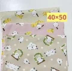 Item thumbnail for item 6565f2be-9a32-4c08-bf43-62ef424889ec