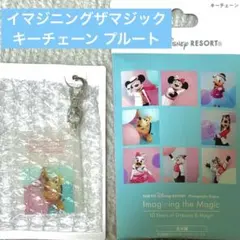 【新品未使用】イマジニングザマジック　キーチェーン　プルート