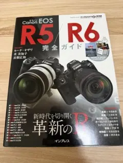 Item thumbnail for item 380ddc01-f0e4-4a48-9824-732d3d81314e