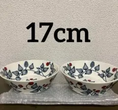 【新品未使用】4枚セット ARABIARUNO フロストベリー オーバル25cm アラビア ルノ フロストベリー オーバルプレート 25cm 復刻版 計