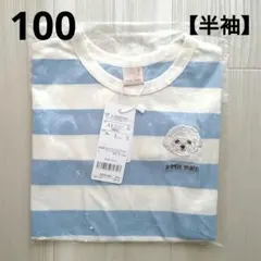①新品☆プティマイン 100 犬 ボーダー 半袖 Tシャツのサムネイル
