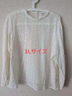 ユニクロ　レース ブラウス　ホワイト バックボタン付き
