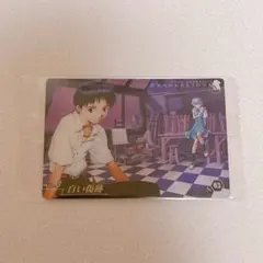 エヴァンゲリオン 限定 ウエハースカード 碇シンジ 綾波レイ 4