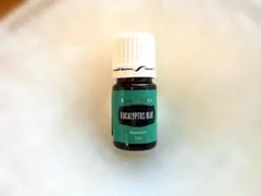 2025年最新】ヤングリビングの人気アイテム - メルカリ