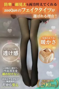 フェイクタイツ・裏起毛タイツ　透け感ブラック