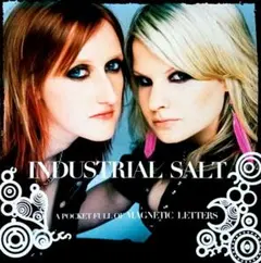 INDUSTRIAL SOLT　デビューアルバム　日本盤CD