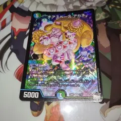 No.2863 チアスペースアカネ