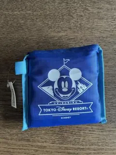 Item thumbnail for item 2da365c3-1c8d-4adb-bf27-70d950331a04