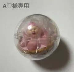A♡様専用　こびとづかんカプリウムコレクション