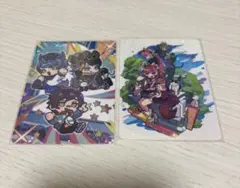 CrazyRaccoon トレカ 2枚セット CR