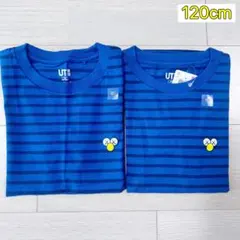★新品未開封★ユニクロ　KAWS カウズ　半袖Tシャツ　120cm 2枚セット