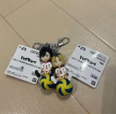 ハイキュー!! 孤爪研磨 プリンヘッド 黒尾鉄朗 クロ 孤爪 研磨 黒尾 鉄朗