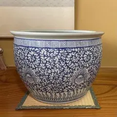 2025年最新】睡蓮鉢 特大の人気アイテム - メルカリ