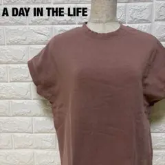 A DAY IN THE LIFEブラウン ラウンドネック Tシャツ【1485】のサムネイル