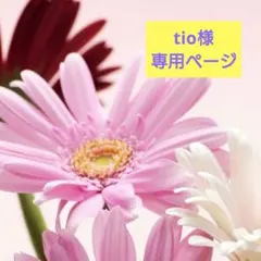 ✮tio様専用ページ✮